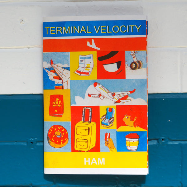 Terminal Velocity